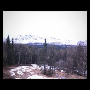 Meet your Posher, Lindsey